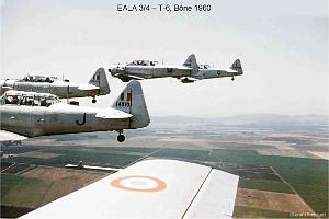 197- ARMEE DE L'AIR EN ALGERIE 1945-1962-45 (50)